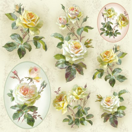 Ριζόχαρτο 50 x 50cm - Antique Roses