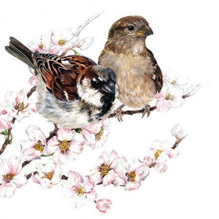 Χαρτοπετσέτα για Decoupage, Sparrows Blossom / 13313895