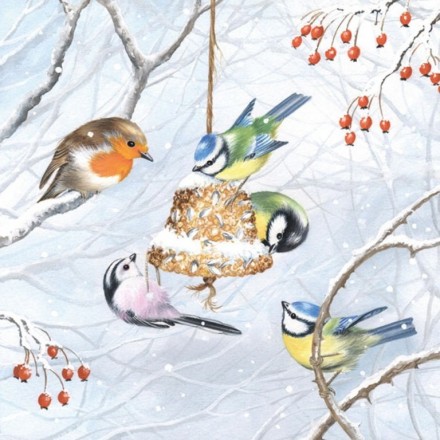 Χριστουγιεννιάτικη Χαρτοπετσέτα για Decoupage, Winter Birds / 33304545